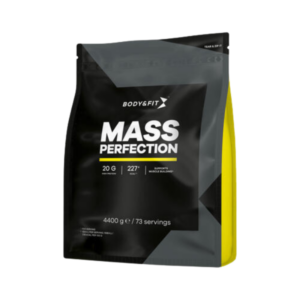 MASS PERFECTION WEIGHT GAINER